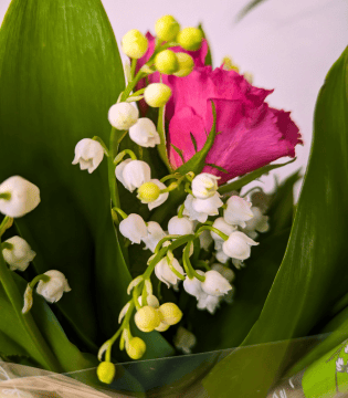 Muguet 1er mai à Carvin